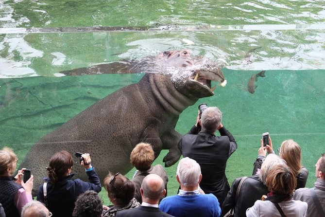 Zoo Of Beauval - Private Trip - Pickup, comfort, and the chauffeur: the part you’ll feel most